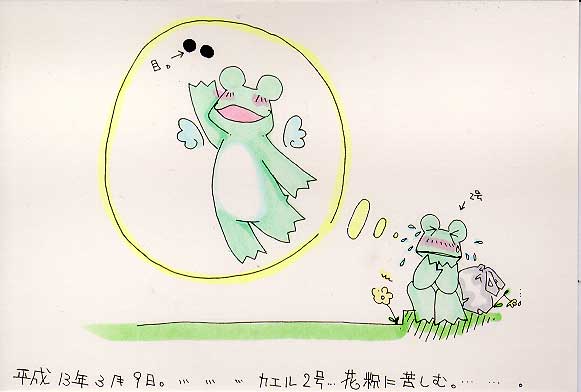 Picture