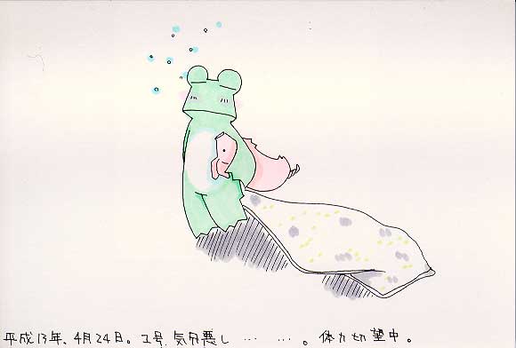 Picture