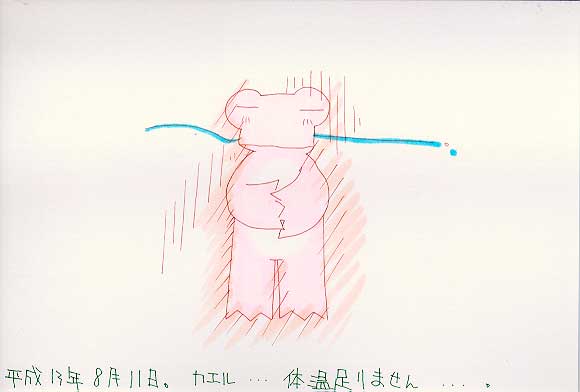 Picture