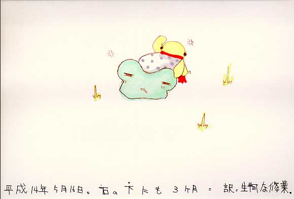 Picture