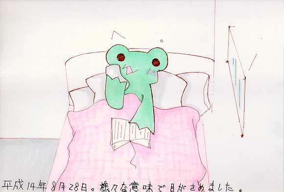 Picture