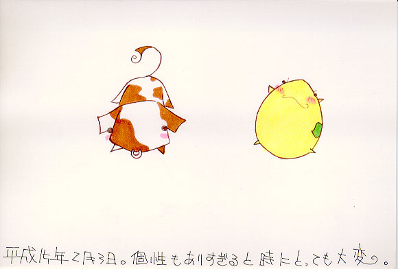 Picture