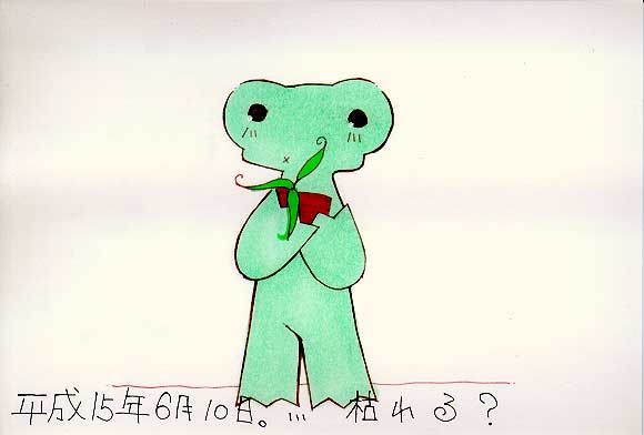 Picture