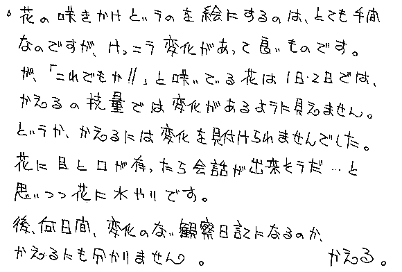 Text