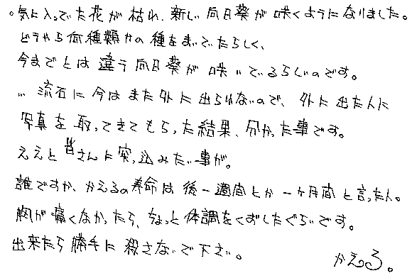 Text