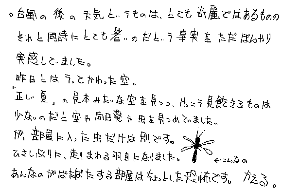 Text