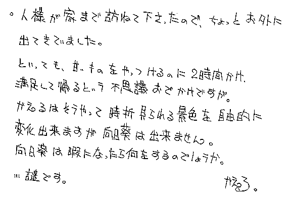 Text