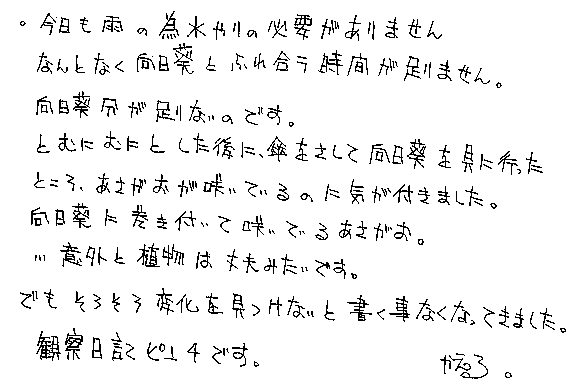 Text