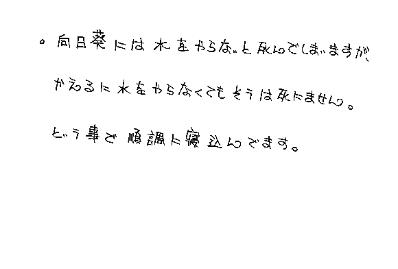Text