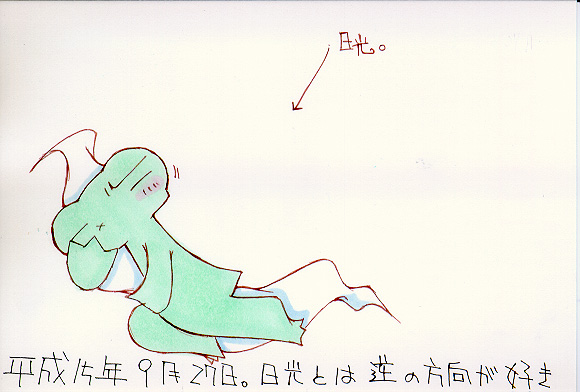 Picture