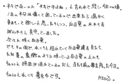 Text