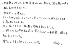 Text