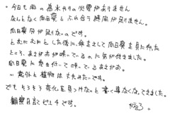 Text