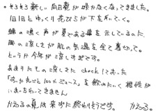 Text