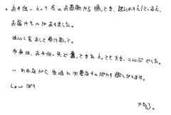 Text